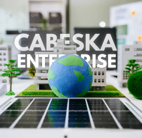 1,000+ entrepreneurs & SMEs partnered